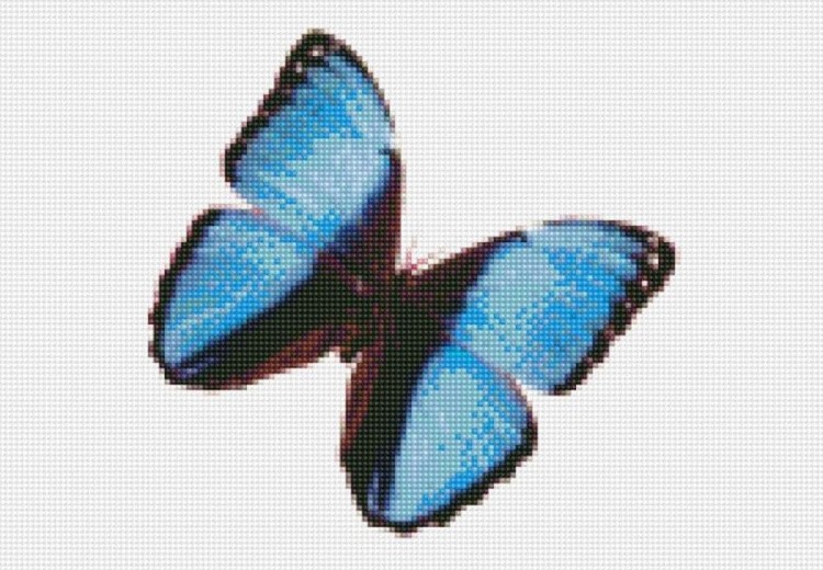 Алмазная вышивка «Бабочка Морфида тропическая»