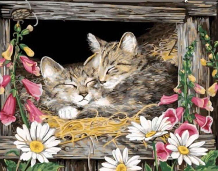 Картина по номерам «Котята в гнезде»