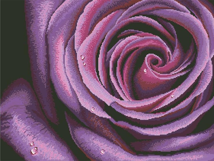 Алмазная вышивка «Фиолетовая роза»