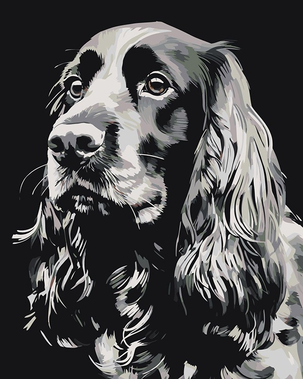 Картина по номерам «Собака Спаниель черная»