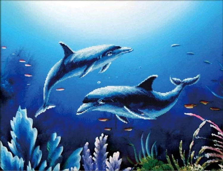 Алмазная вышивка «Дельфины»
