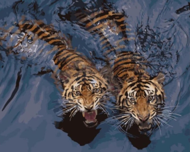 Картина по номерам «Мощные тигры в воде»