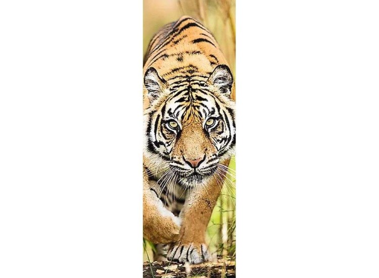 Пазлы «Затаившийся тигр»