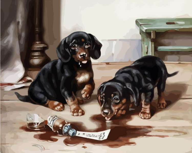 Картина по номерам «Два щенка»
