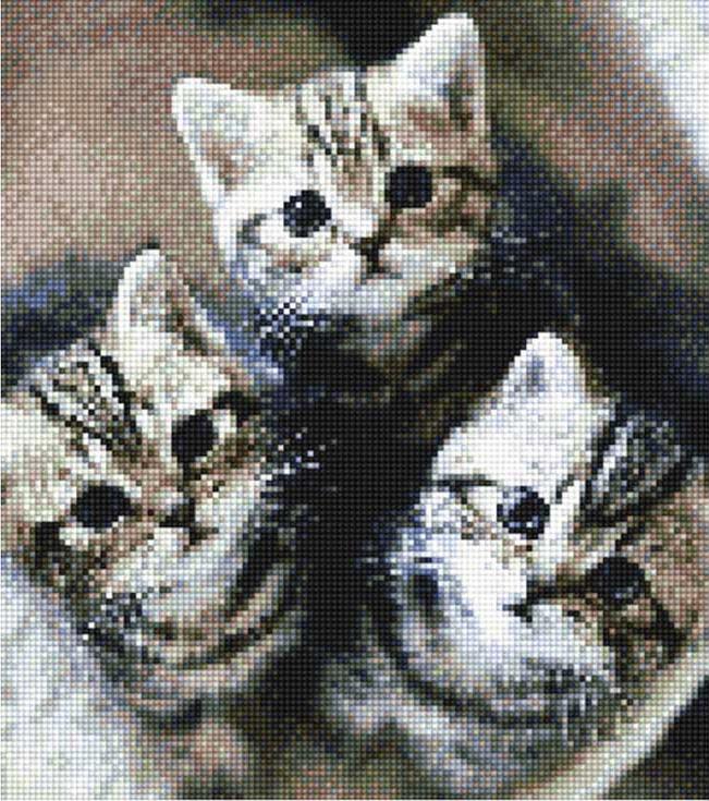 Алмазная вышивка «Очаровательные котята»