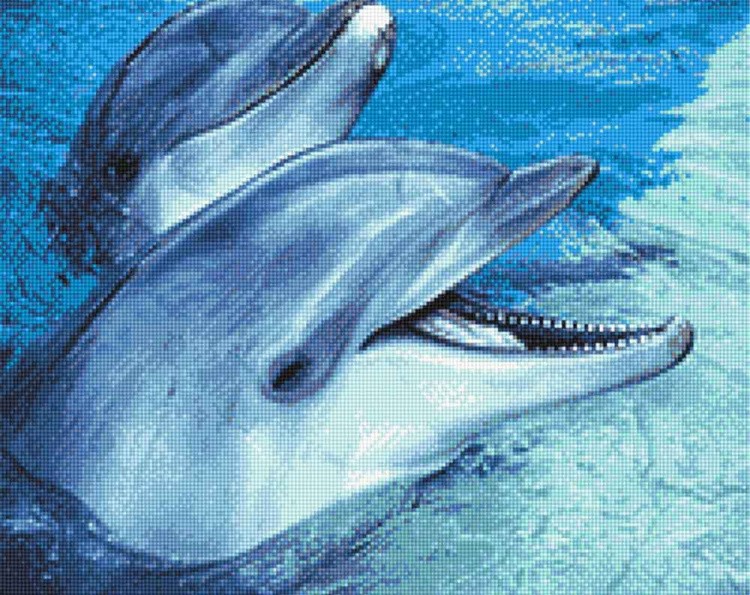 Алмазная вышивка «Дружба дельфинов»