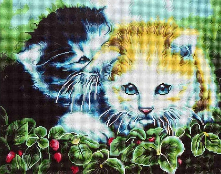 Алмазная вышивка «Два котеночка»