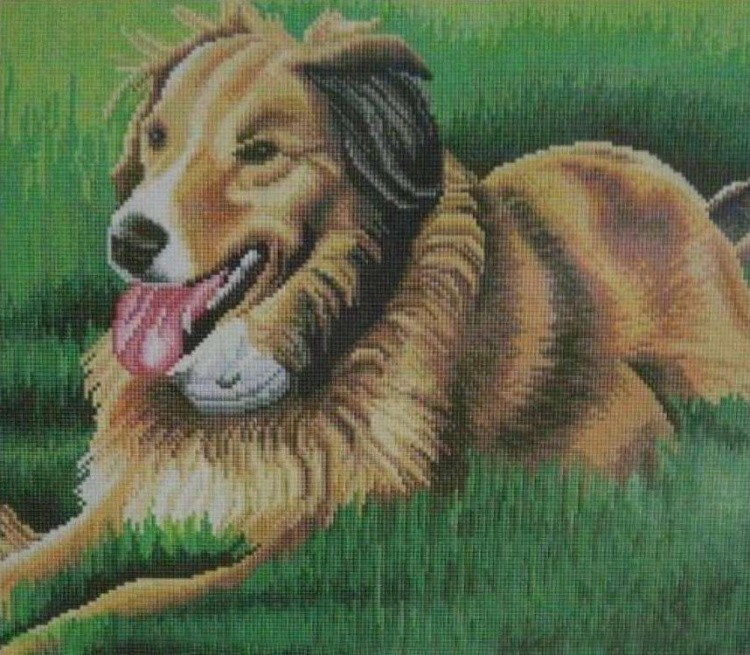 Алмазная вышивка «Собака на лужайке»