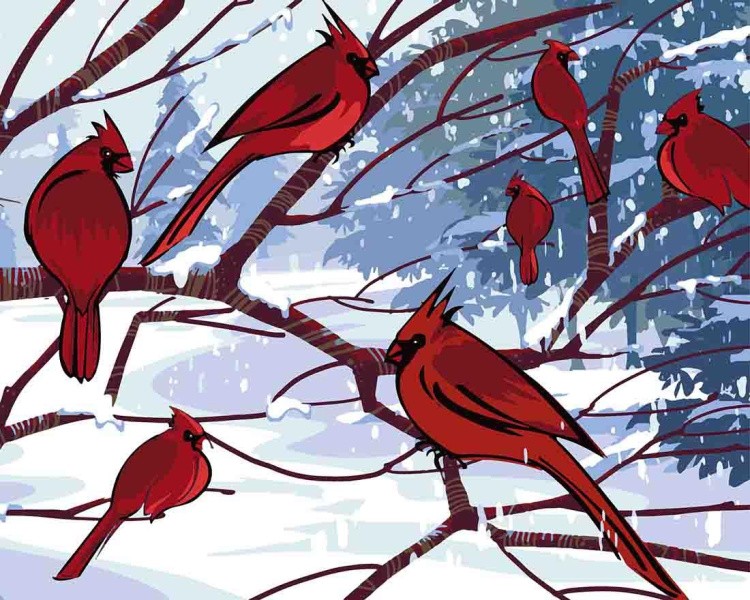 Картина по номерам «Красные кардиналы»