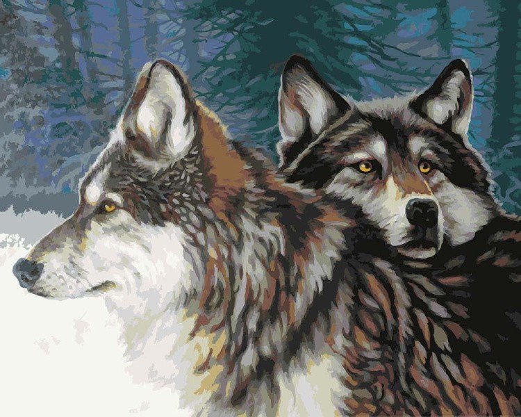 Картина по номерам «Взгляд волчицы»