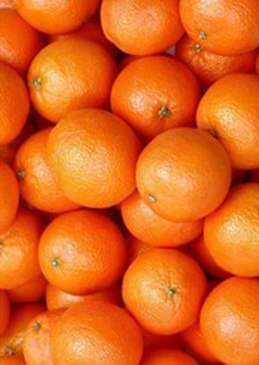 Алмазная вышивка «Апельсины»
