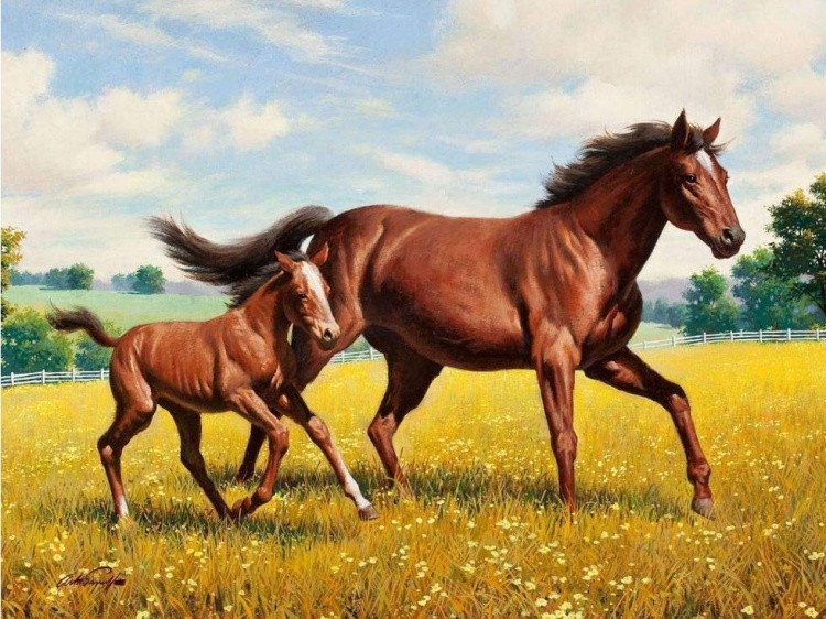 Алмазная вышивка «Донские лошади»