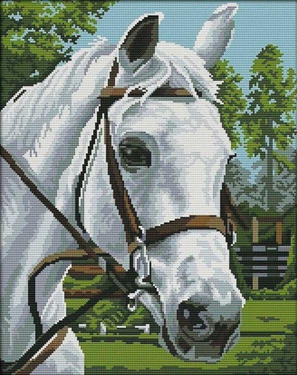 Алмазная вышивка «Белая лошадь»
