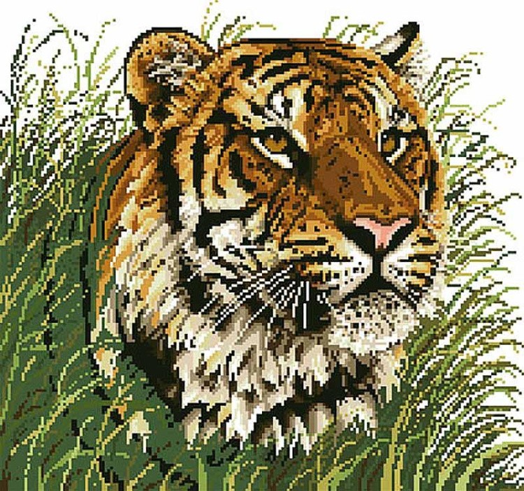 Алмазная вышивка «Уссурийский тигр»