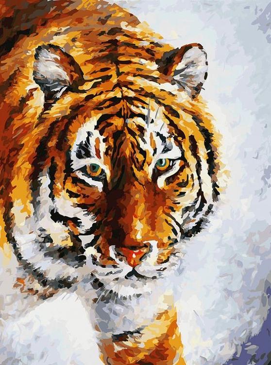 Картина по номерам «Тигр на снегу»