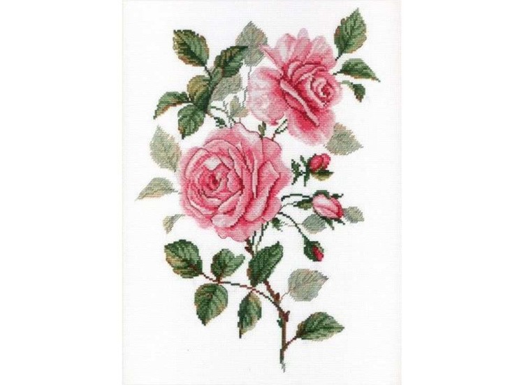 Набор для вышивания «Садовые розы»