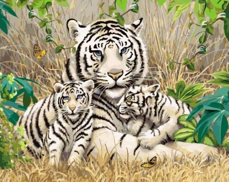 Картина по номерам «Белые тигры»