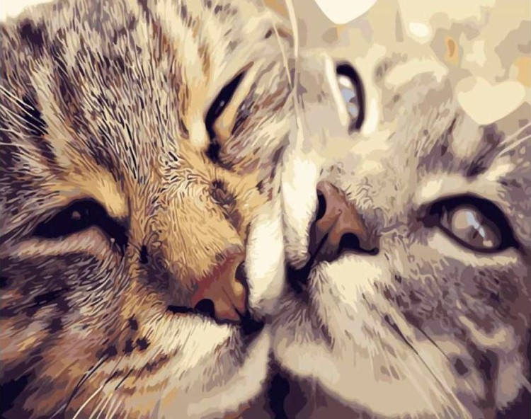 Картина по номерам «Кошачья любовь»