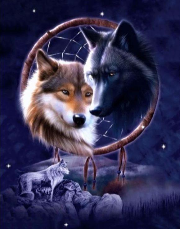 Алмазная вышивка «Ночные волки»