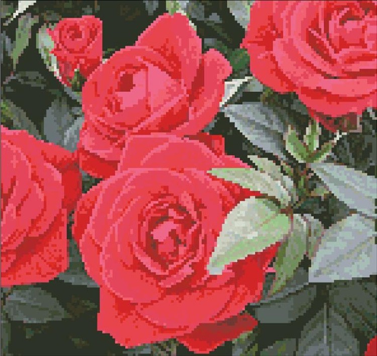 Алмазная вышивка «Розы»