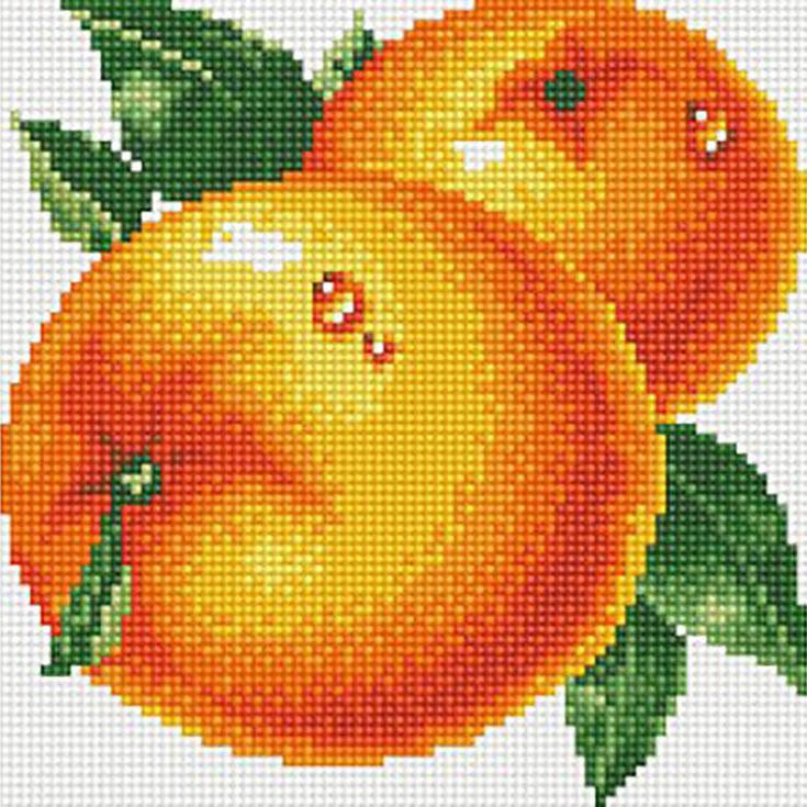 Алмазная вышивка «Сочные апельсины»