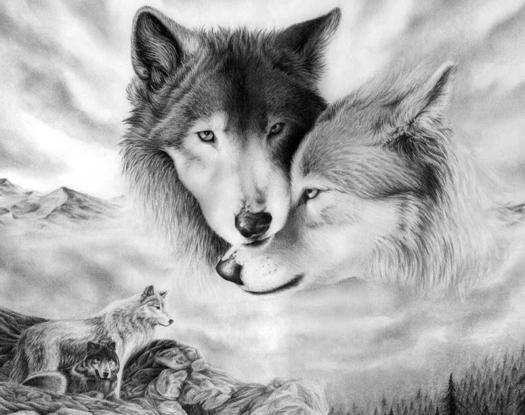 Алмазная вышивка «Волчья любовь»