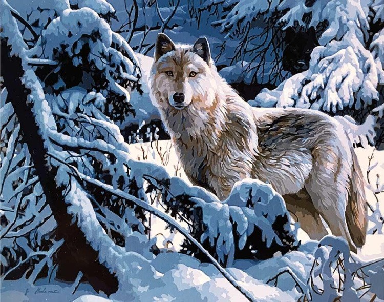 Картина по номерам «Белый волк»