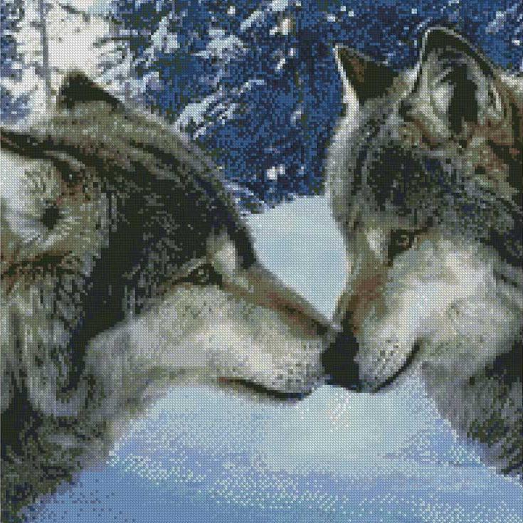 Алмазная вышивка «Волчий поцелуй»