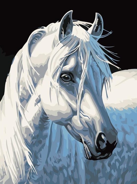 Картина по номерам «Белая лошадь»