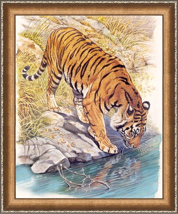 Алмазная вышивка «Тигр у реки»
