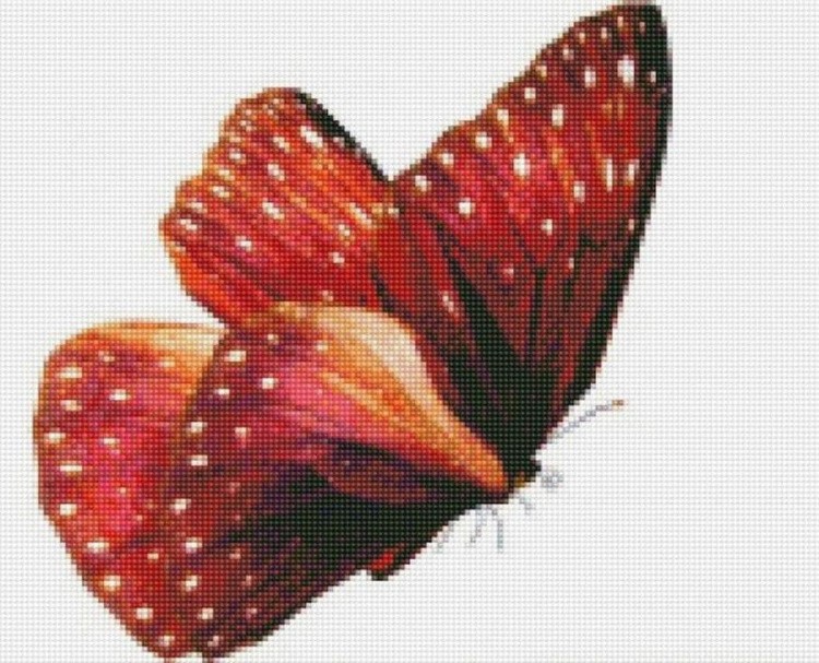 Алмазная вышивка «Бабочка Красный монарх»