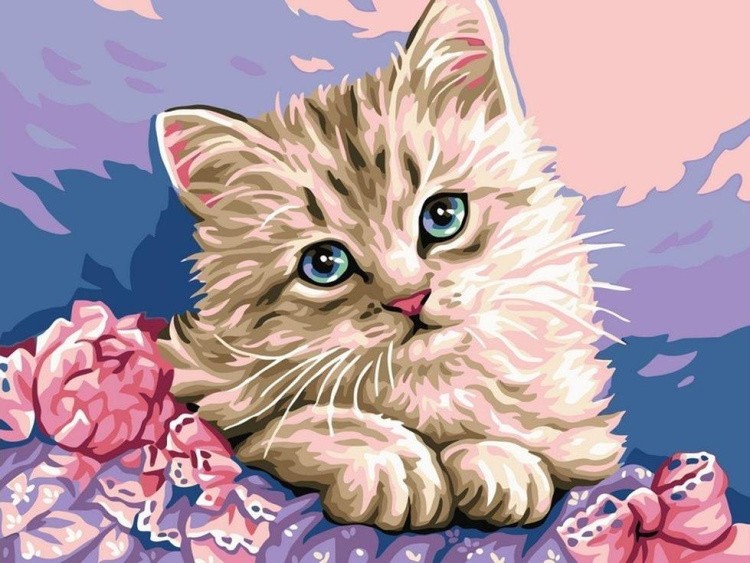 Картина по номерам «Милый котик»