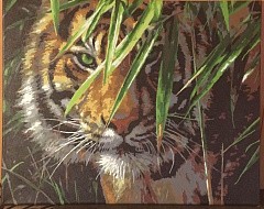 Картина по номерам «Изумрудный лес» Коллина Богла