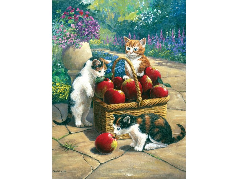 

«Любопытные котята» Кевина Уолша, «Любопытные котята»