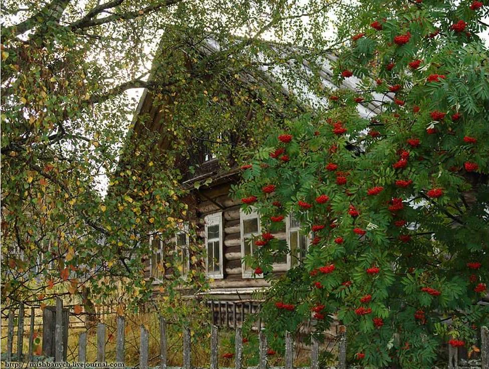 Дом в котором ты родился описание. Есть на свете одна деревенька. Стихотворение есть на свете одна деревенька. Есть у каждого Родина малая место где ты родился и рос. Есть на свете одна деревенька не большая она не богата.