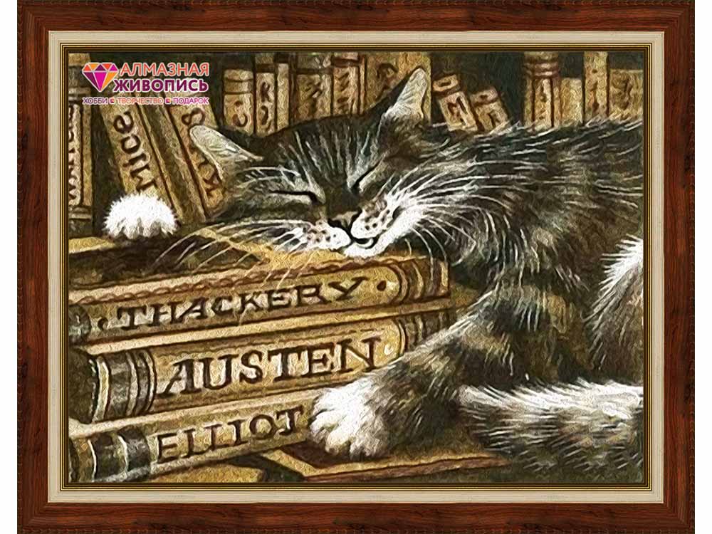 

Алмазная вышивка «Библиотекарь»