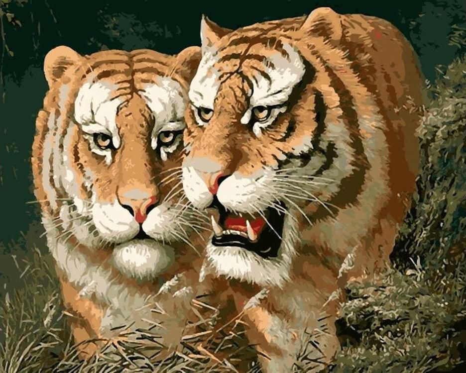 

Картина по номерам «Любовь тигра»