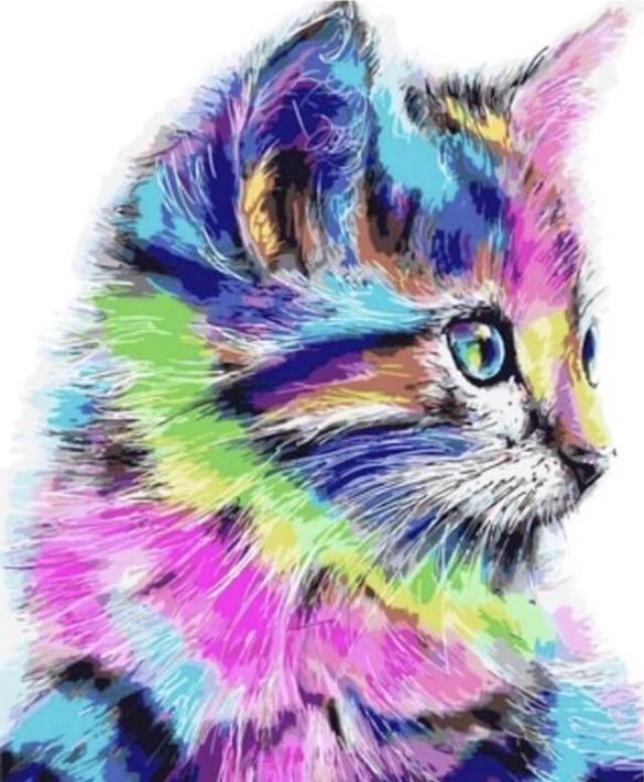 Цветной ru. Алмазная вышивка «разноцветная кошка», lg009. Разноцветный кот. Радужные коты. Рисунки разноцветные.