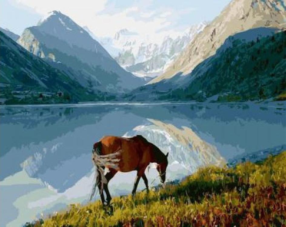 

Картина по номерам «На водопое»