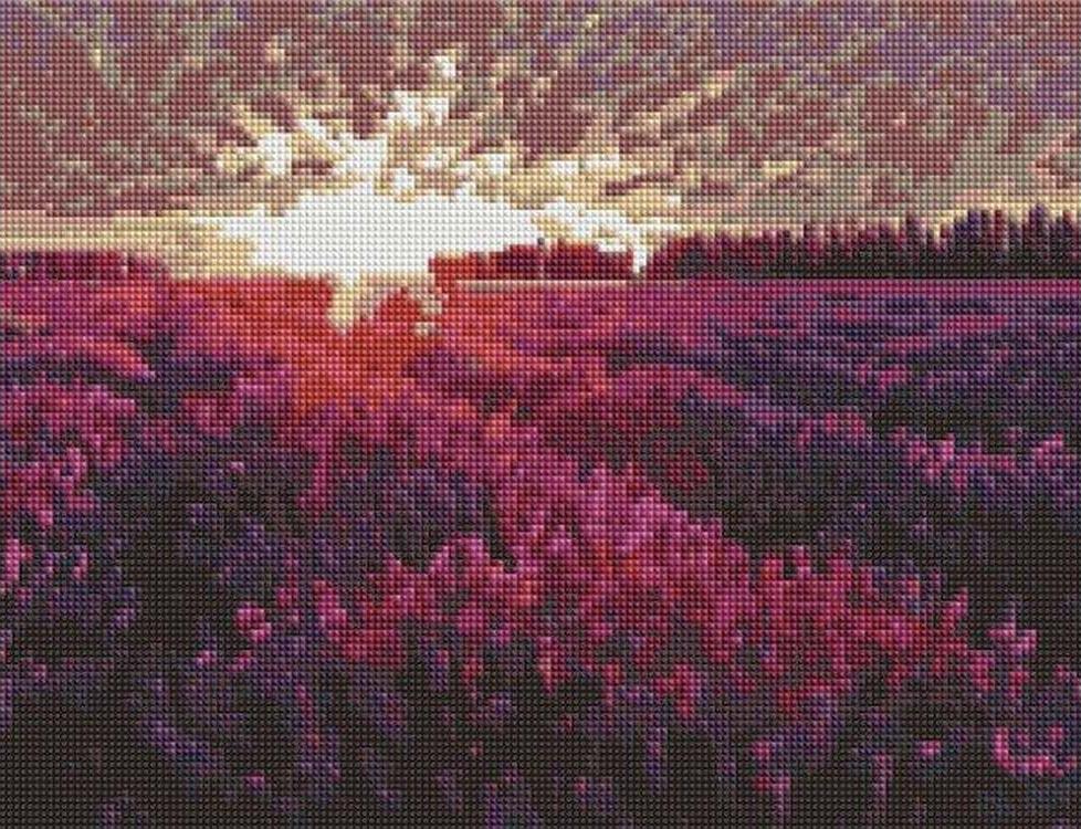 

Алмазная вышивка «Лаванда»