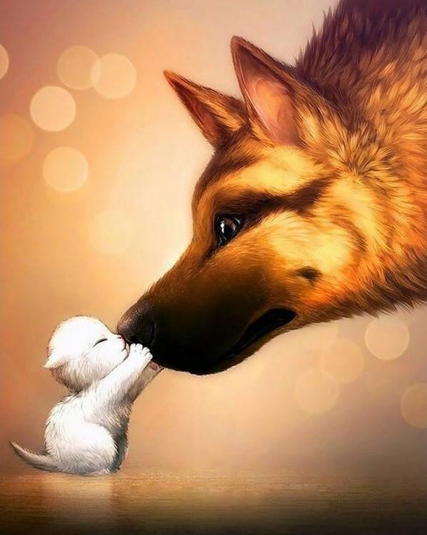 

Алмазная вышивка «Любовь котенка и собаки»