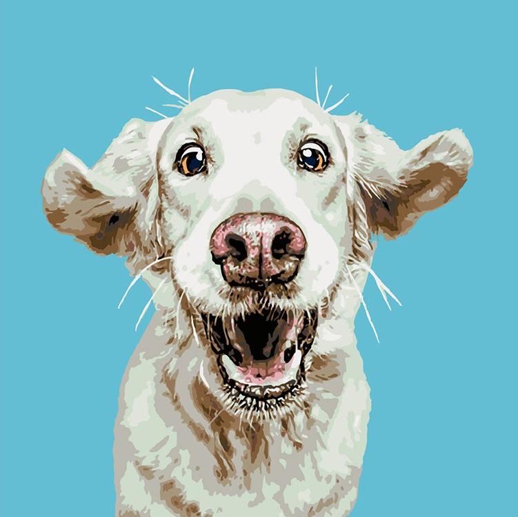 

Картина по номерам «Шелли» Эльке Фогельзанга