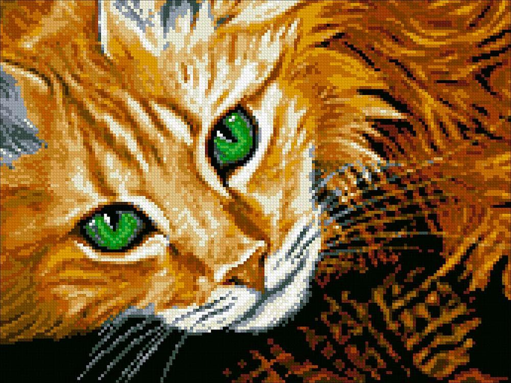

Алмазная вышивка «Рыжий кот», «Рыжий кот»