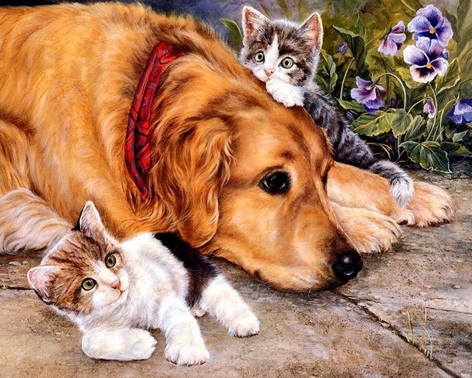 Shirley Deaville картины. Кошки и собаки. Картины животных. Собаки в живописи.