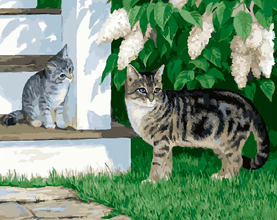 

Картина по номерам «Кошка с котенком» Персис Клейтон Вейерс
