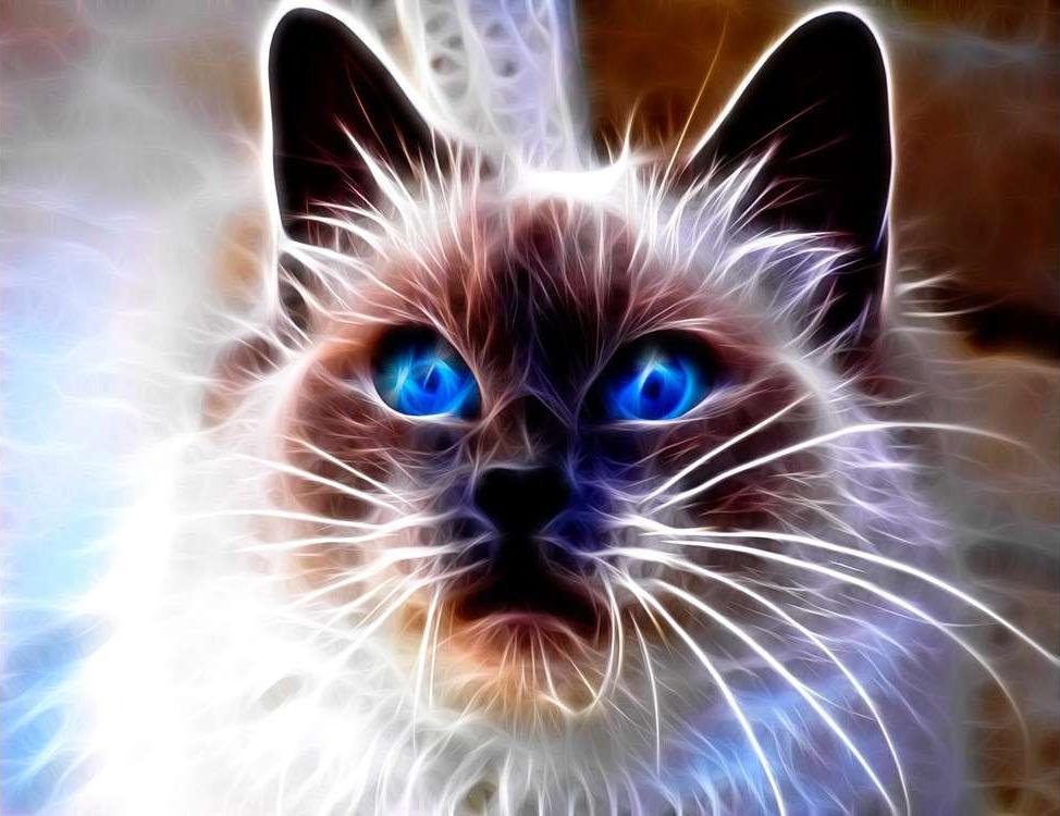 

Алмазная вышивка «Сиамский кот»