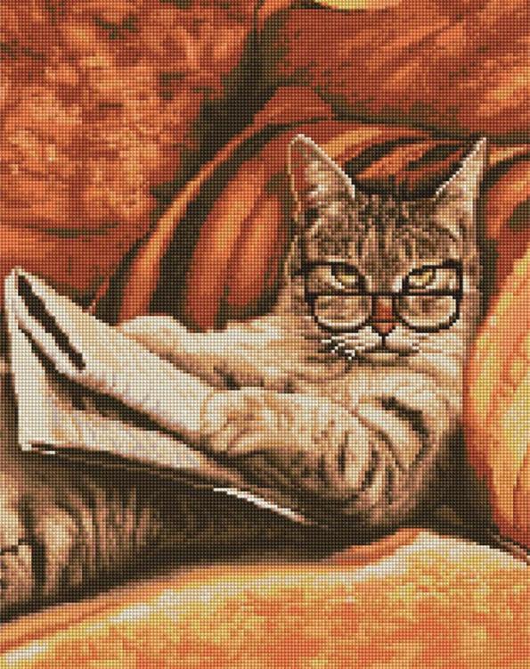 

Алмазная вышивка «Ученый кот»