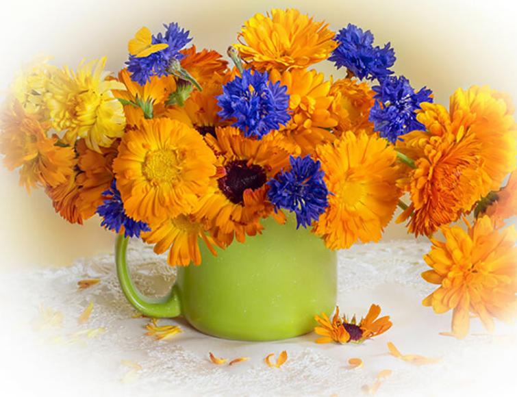 

Картина по номерам «Календула с васильками»