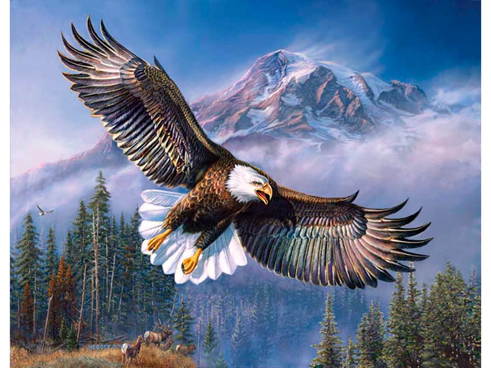 Cuál es el águila más grande