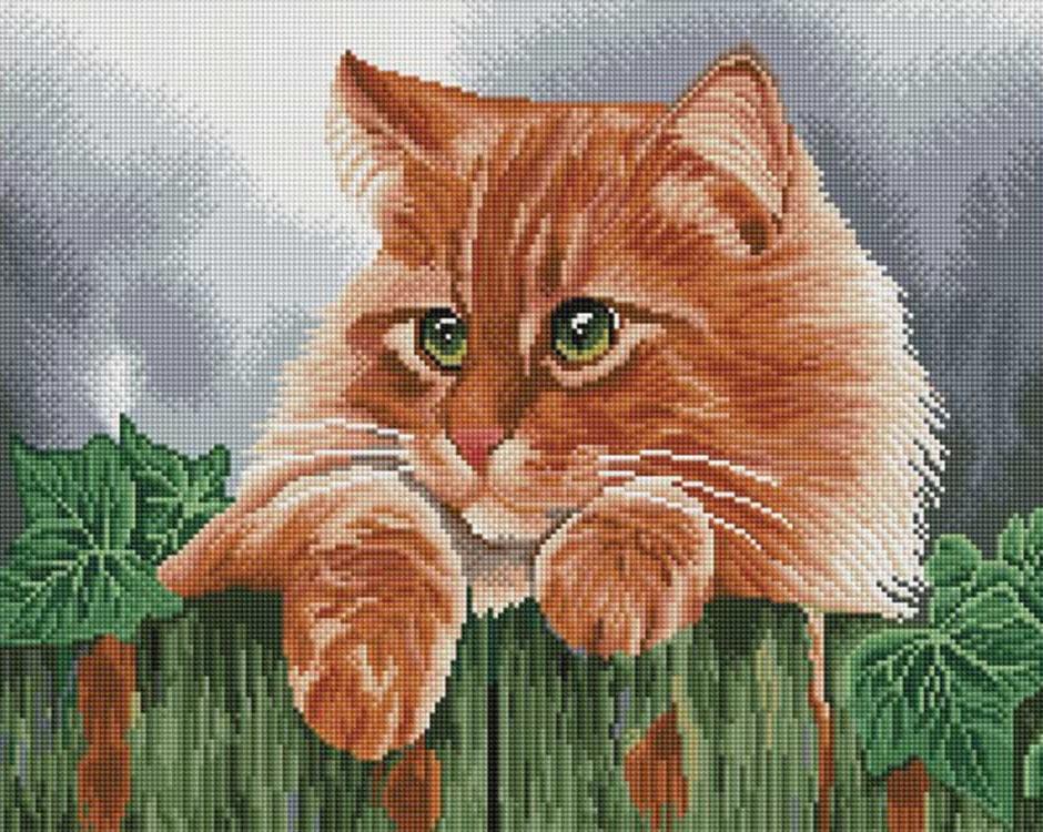 

Алмазная вышивка «Рыжий кот» Ирины Гармашовой, «Рыжий кот»